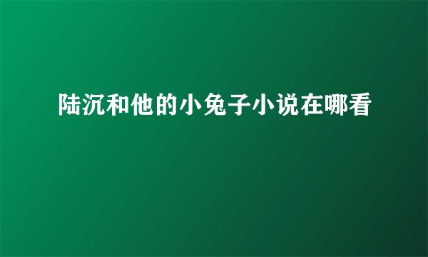 陆沉和他的小兔子小说在哪看