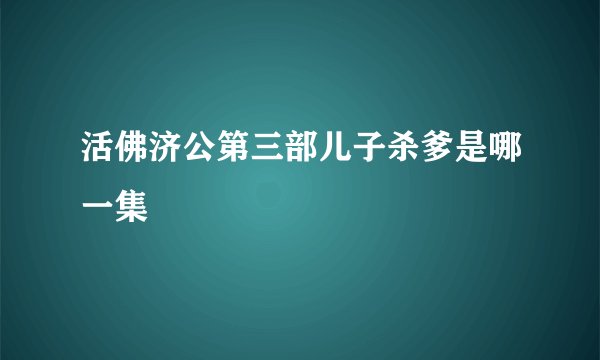 活佛济公第三部儿子杀爹是哪一集