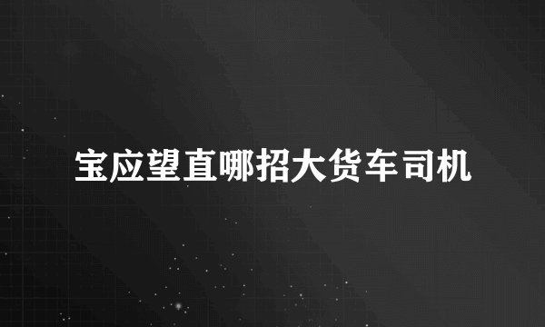 宝应望直哪招大货车司机