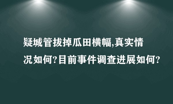 疑城管拔掉瓜田横幅,真实情况如何?目前事件调查进展如何?