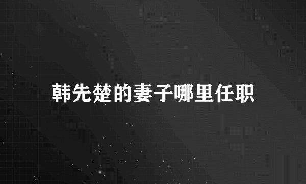 韩先楚的妻子哪里任职