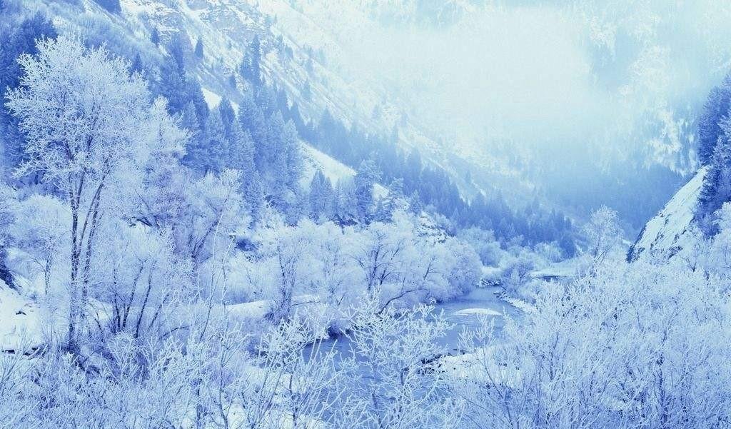 寒潮发威,南方气温纷纷触底,我们该提前做好哪些准备?