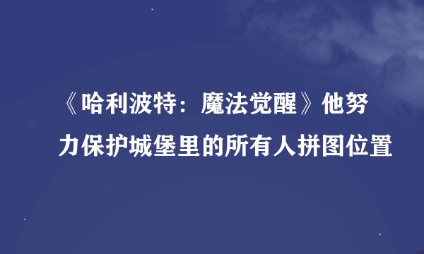 《哈利波特:魔法觉醒》他努力保护城堡里的所有人拼图位置