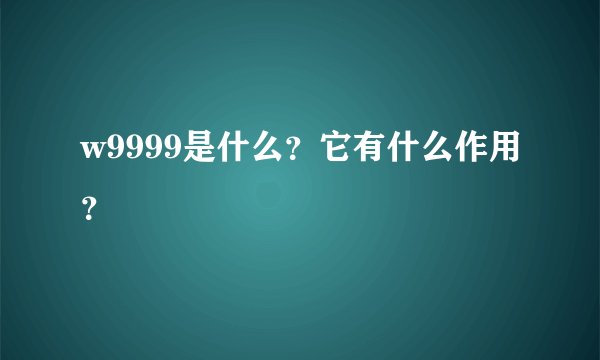 w9999是什么？它有什么作用？