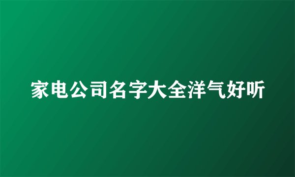 家电公司名字大全洋气好听