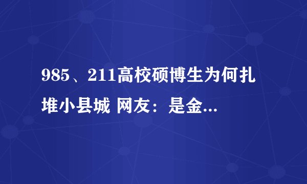985、211高校硕博生为何扎堆小县城 网友:是金子到哪都会发光