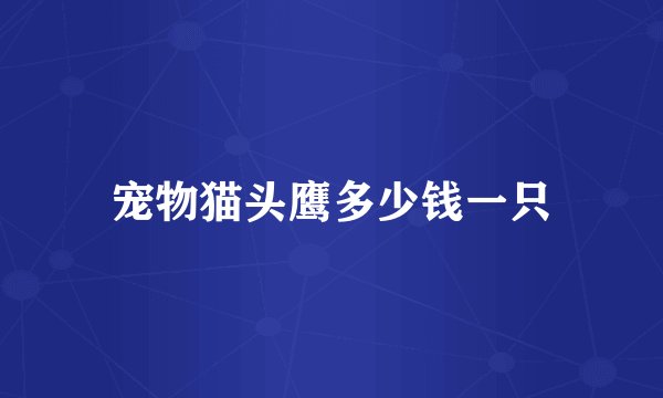 宠物猫头鹰多少钱一只