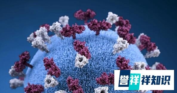 31省份新增本土确诊62例 福建61例 这是咋情况？