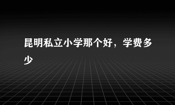 昆明私立小学那个好，学费多少
