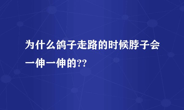 为什么鸽子走路的时候脖子会一伸一伸的??