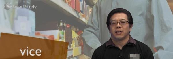 vice是什么意思