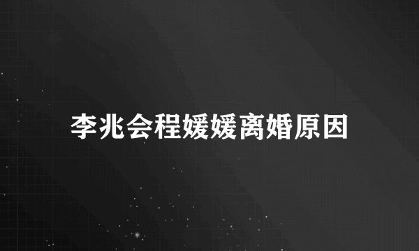 李兆会程媛媛离婚原因