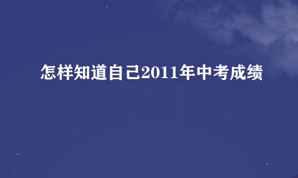 怎样知道自己2011年中考成绩