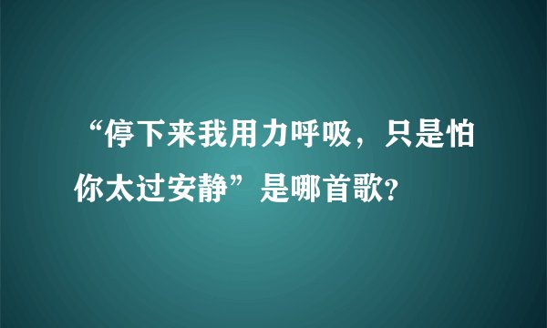 “停下来我用力呼吸，只是怕你太过安静”是哪首歌？