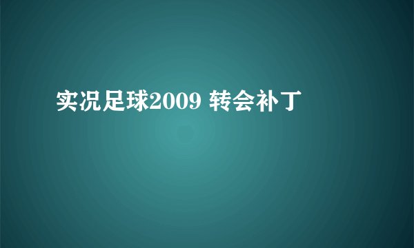 实况足球2009 转会补丁