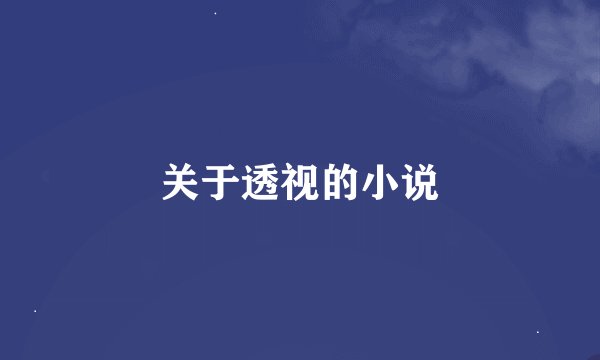 关于透视的小说