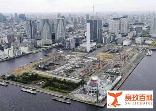 多国逼宫,安倍松口,损失巨大,东京奥运会确定延期,将成为历史上首次延期的奥运会!