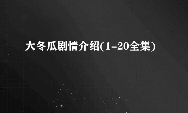 大冬瓜剧情介绍(1-20全集)