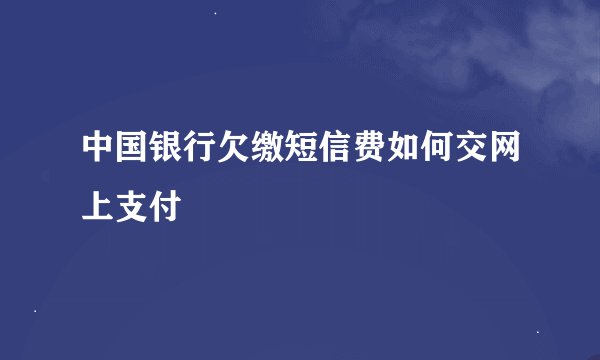 中国银行欠缴短信费如何交网上支付