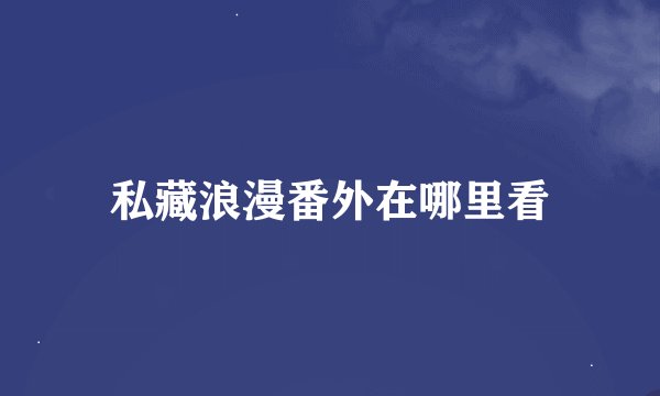 私藏浪漫番外在哪里看