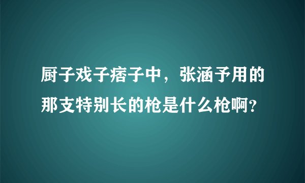 厨子戏子痞子中,张涵予用的那支特别长的枪是什么枪啊?