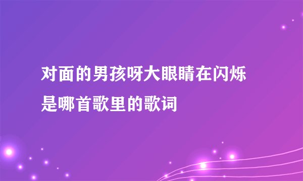 对面的男孩呀大眼睛在闪烁 是哪首歌里的歌词
