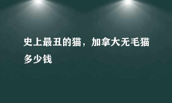 史上最丑的猫,加拿大无毛猫多少钱