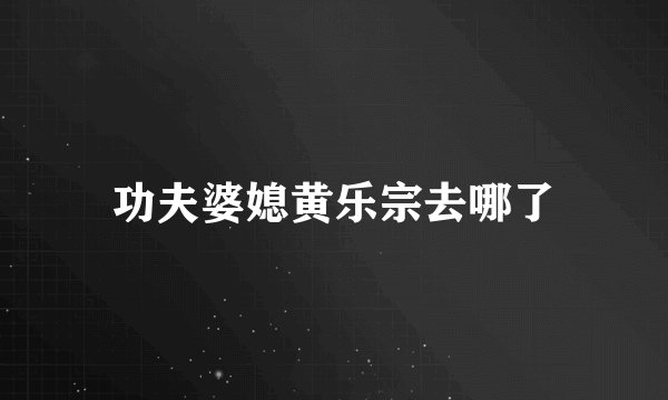 功夫婆媳黄乐宗去哪了