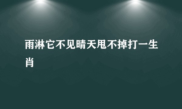 雨淋它不见晴天甩不掉打一生肖