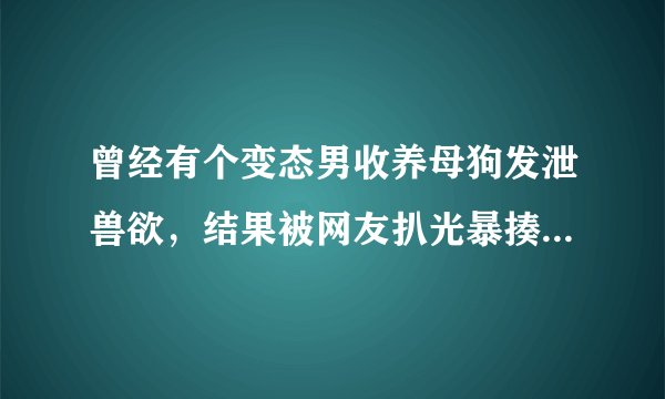 曾经有个变态男收养母狗发泄兽欲，结果被网友扒光暴揍，他这是虐待动物吗？