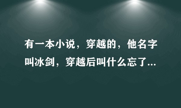 有一本小说，穿越的，他名字叫冰剑，穿越后叫什么忘了，穿越到一个宰相的儿子身上很丑，最后好像中毒变老