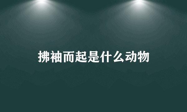 拂袖而起是什么动物