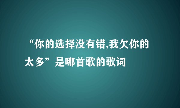 “你的选择没有错,我欠你的太多”是哪首歌的歌词