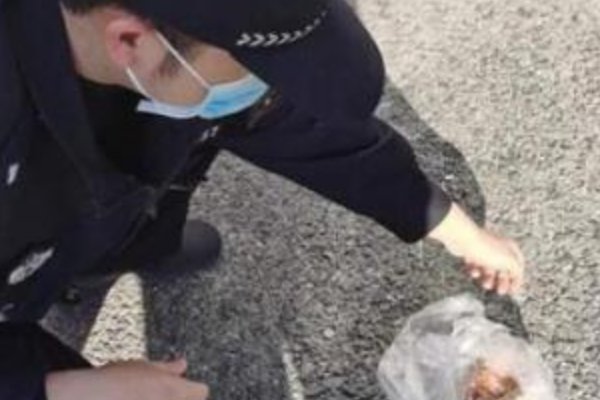 奉贤一名男子偷5万元锦鲤晒成小鱼干被刑拘，他偷锦鲤就是为了吃吗？