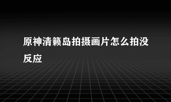 原神清籁岛拍摄画片怎么拍没反应