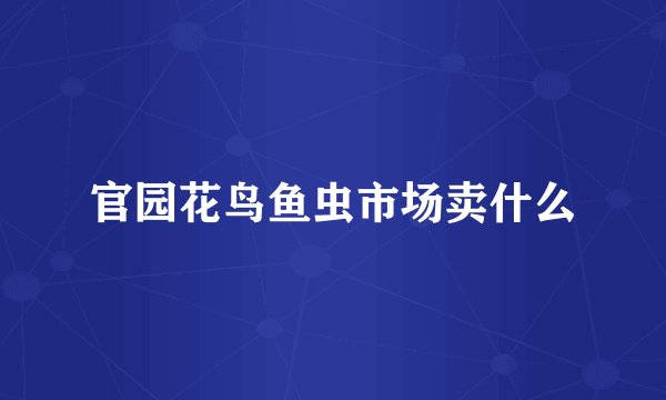 官园花鸟鱼虫市场卖什么