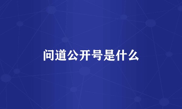 问道公开号是什么
