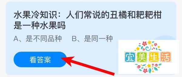 人们常说丑橘和耙耙柑是一种水果吗蚂蚁庄园答案