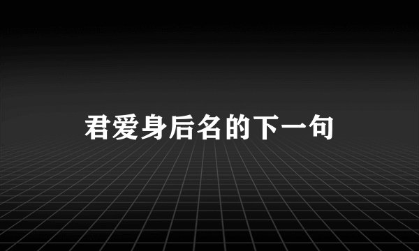 君爱身后名的下一句