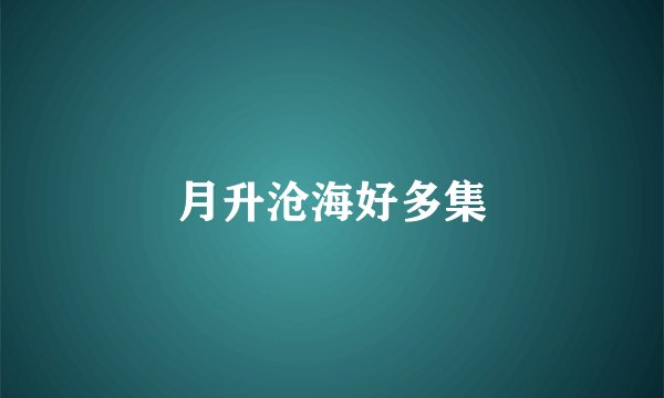 月升沧海好多集