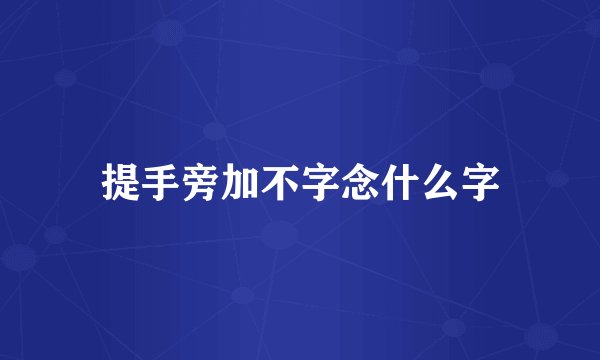 提手旁加不字念什么字