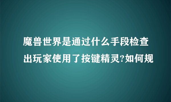 魔兽世界是通过什么手段检查出玩家使用了按键精灵?如何规