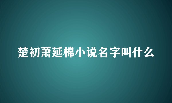 楚初萧延棉小说名字叫什么