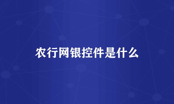 农行网银控件是什么