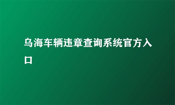乌海车辆违章查询系统官方入口