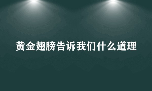 黄金翅膀告诉我们什么道理