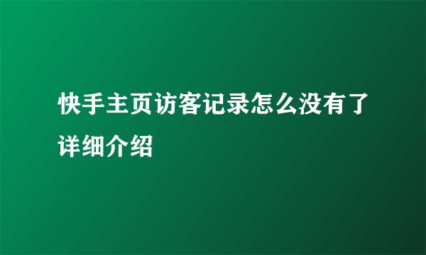 快手主页访客记录怎么没有了详细介绍
