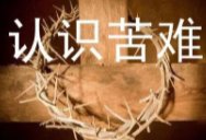 二舅视频作者回应网友“去短视频平台直播”建议,他做出了哪些回应?
