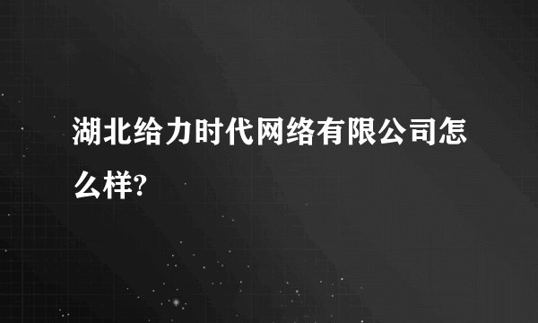 湖北给力时代网络有限公司怎么样?