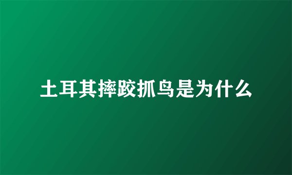 土耳其摔跤抓鸟是为什么